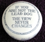 If you are not the lead dog