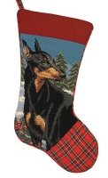Doberman