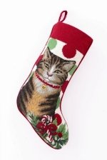 Grey Tabby Cat