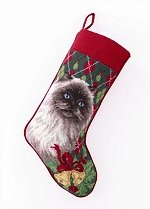 Himalayan Cat