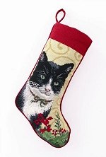 Black and White Cat