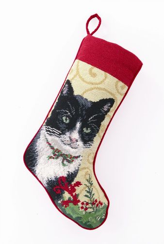 Cat In Stocking 13