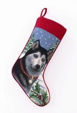 Siberian Husky